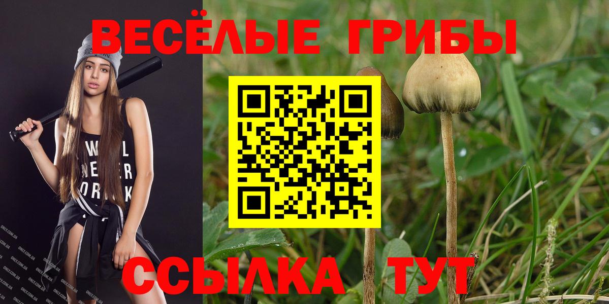 Псилоцибиновые грибы Cubensis  Вход с VPN  Сызрань 